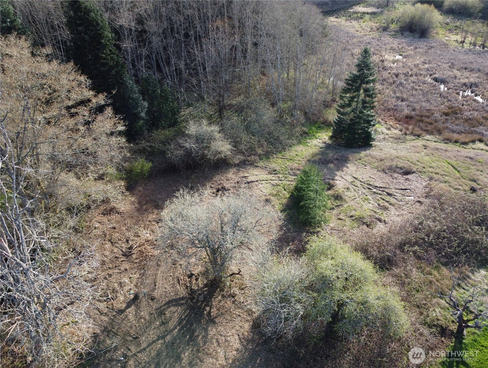 -xxx Embody Road Port Ludlow, WA 98365 - Photo 14 of 26 a view of a forest with trees