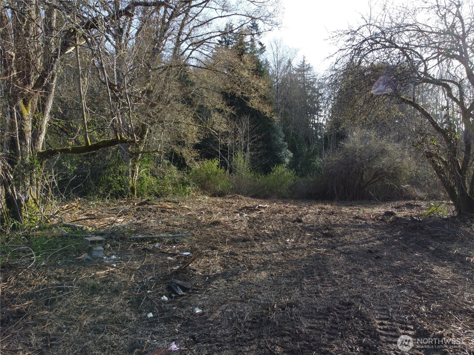 -xxx Embody Road Port Ludlow, WA 98365 - Photo 15 of 26 a view of a yard