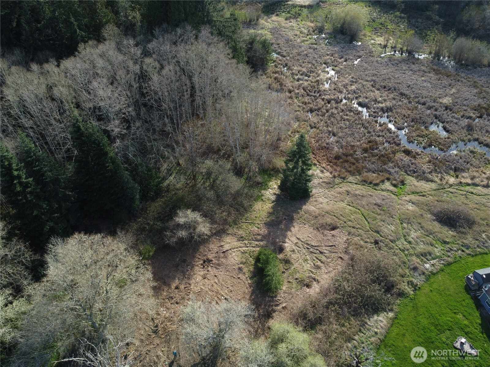 -xxx Embody Road Port Ludlow, WA 98365 - Photo 17 of 26 a view of a forest with a tree