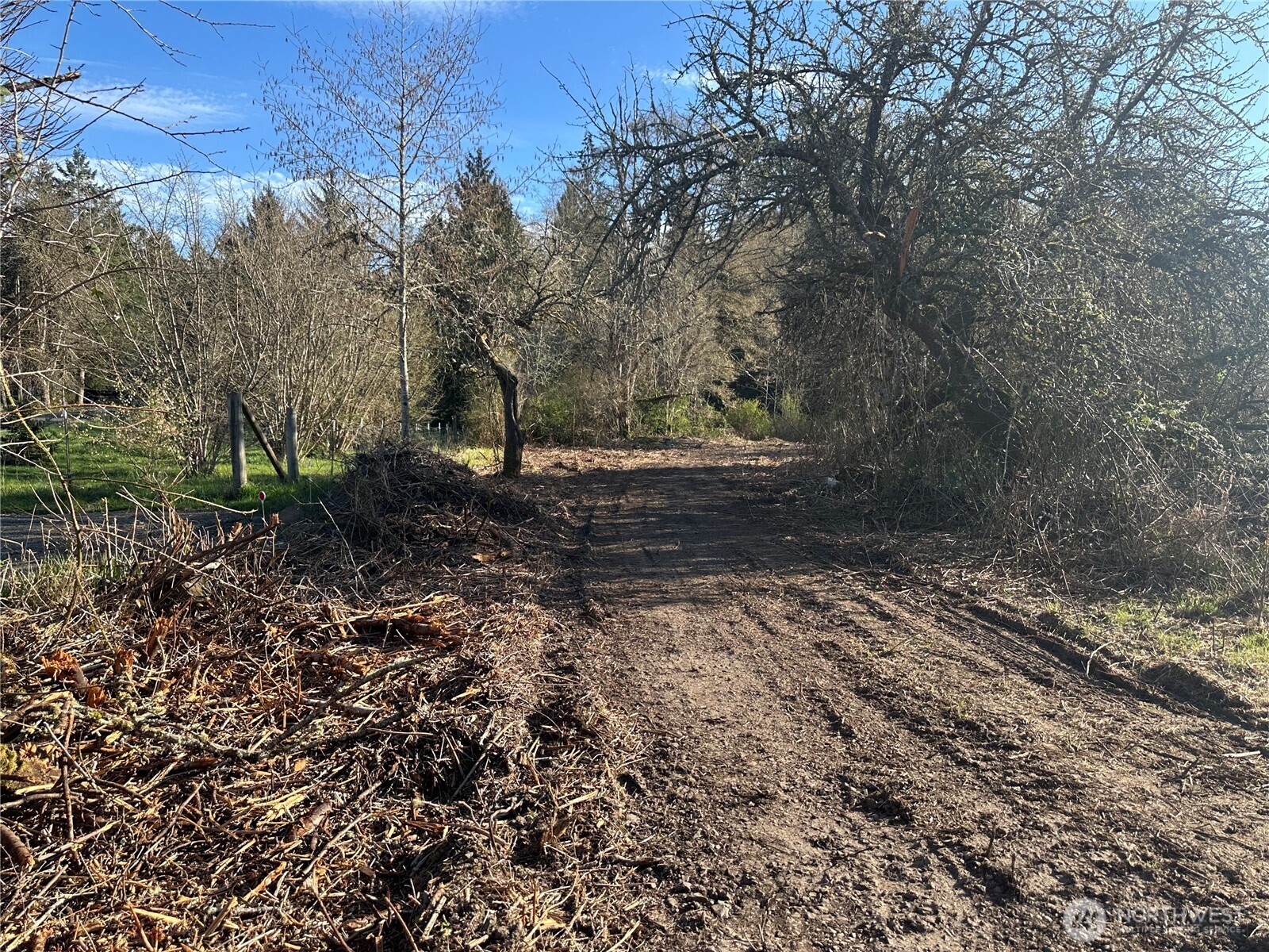 -xxx Embody Road Port Ludlow, WA 98365 - Photo 18 of 26 a view of a yard with plants and trees