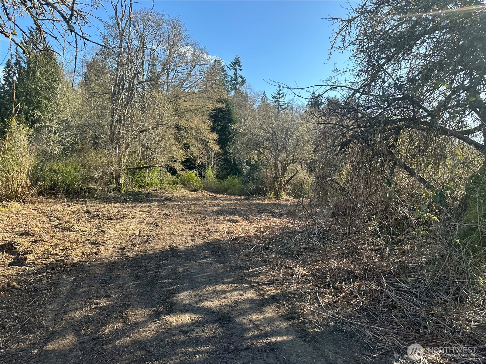 -xxx Embody Road Port Ludlow, WA 98365 - Photo 23 of 26 a view of outdoor space and tree