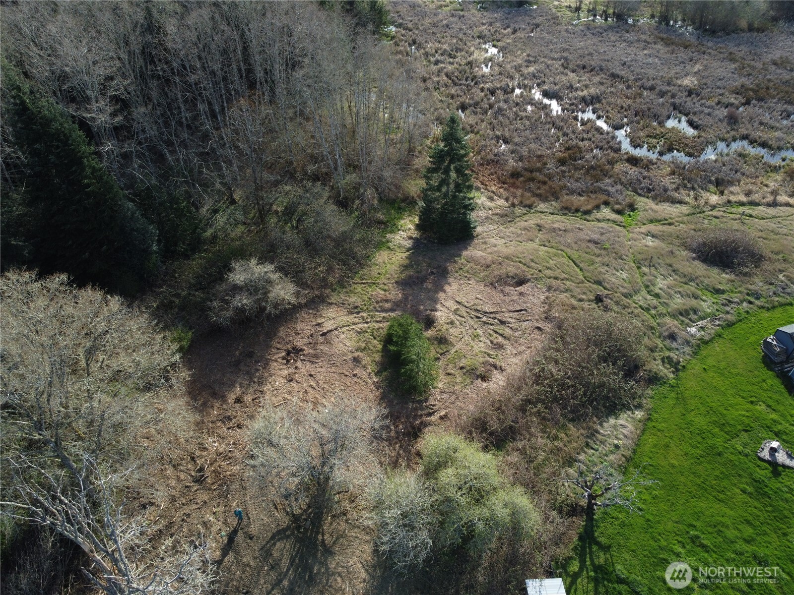 -xxx Embody Road Port Ludlow, WA 98365 - Photo 4 of 26 a view of a forest with trees