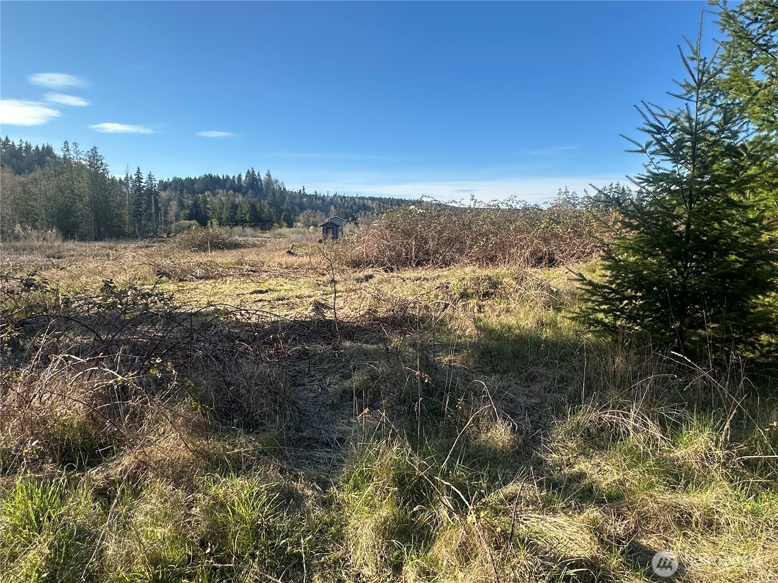 -xxx Embody Road Port Ludlow, WA 98365 - Photo 7 of 26 a view of mountain view with lots of trees