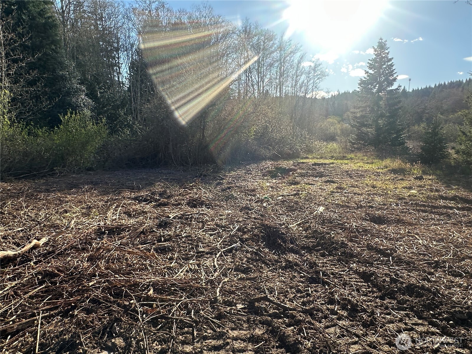 -xxx Embody Road Port Ludlow, WA 98365 - Photo 9 of 26 a view of a backyard of the house