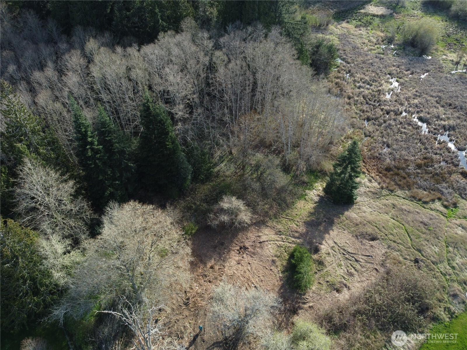 -xxx Embody Road Port Ludlow, WA 98365 - Photo 10 of 26 a view of a yard