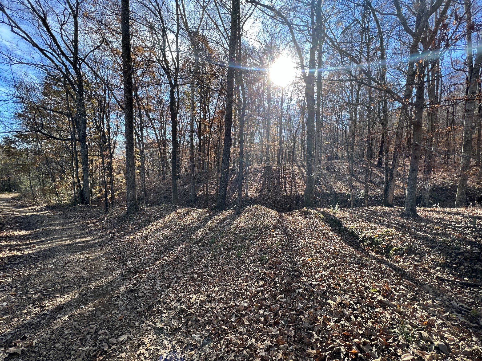 255 Nelson Road Lawrenceburg, TN 38464 - Photo 2 of 67 a view of a backyard of the house