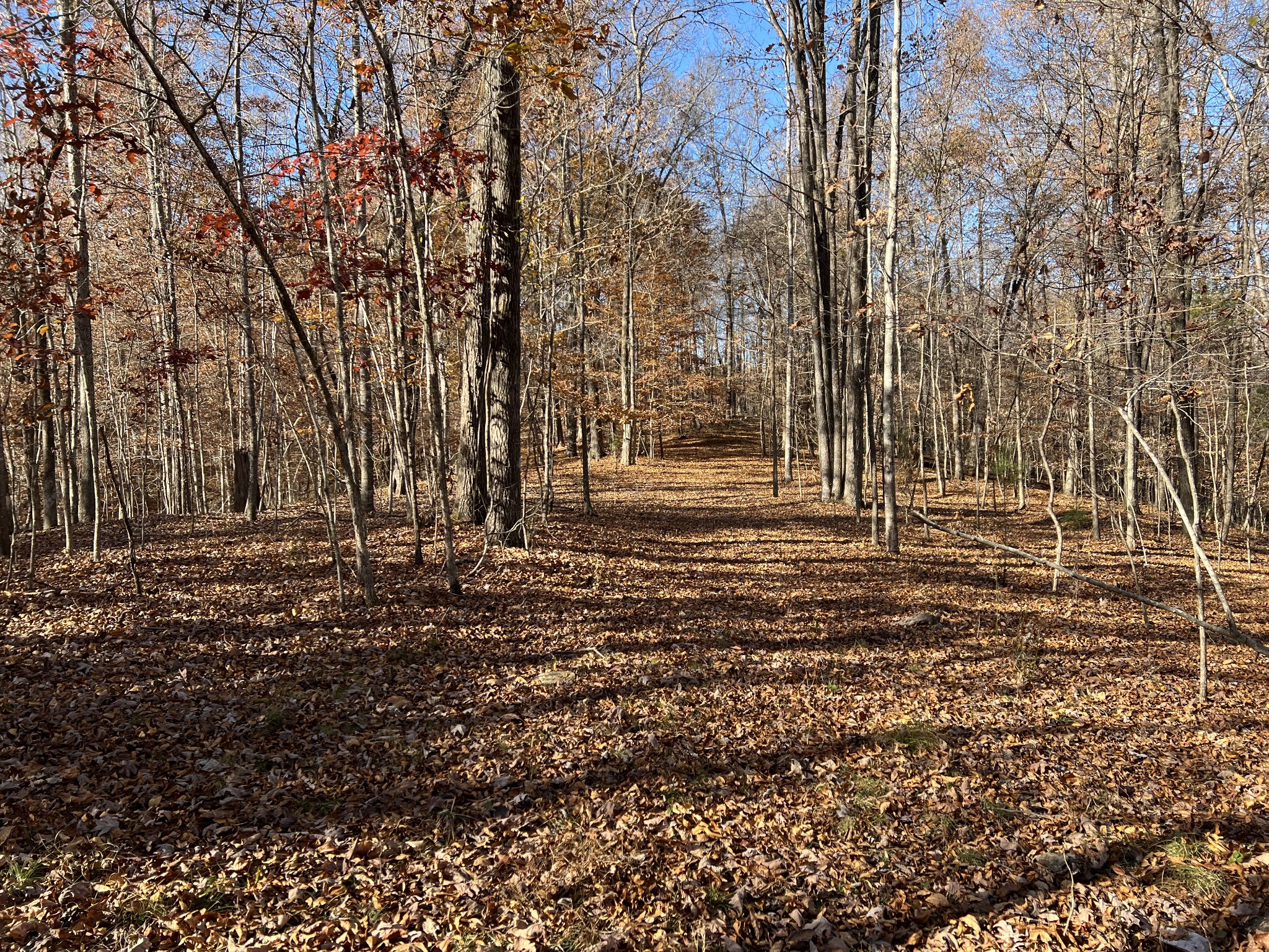 255 Nelson Road Lawrenceburg, TN 38464 - Photo 15 of 67