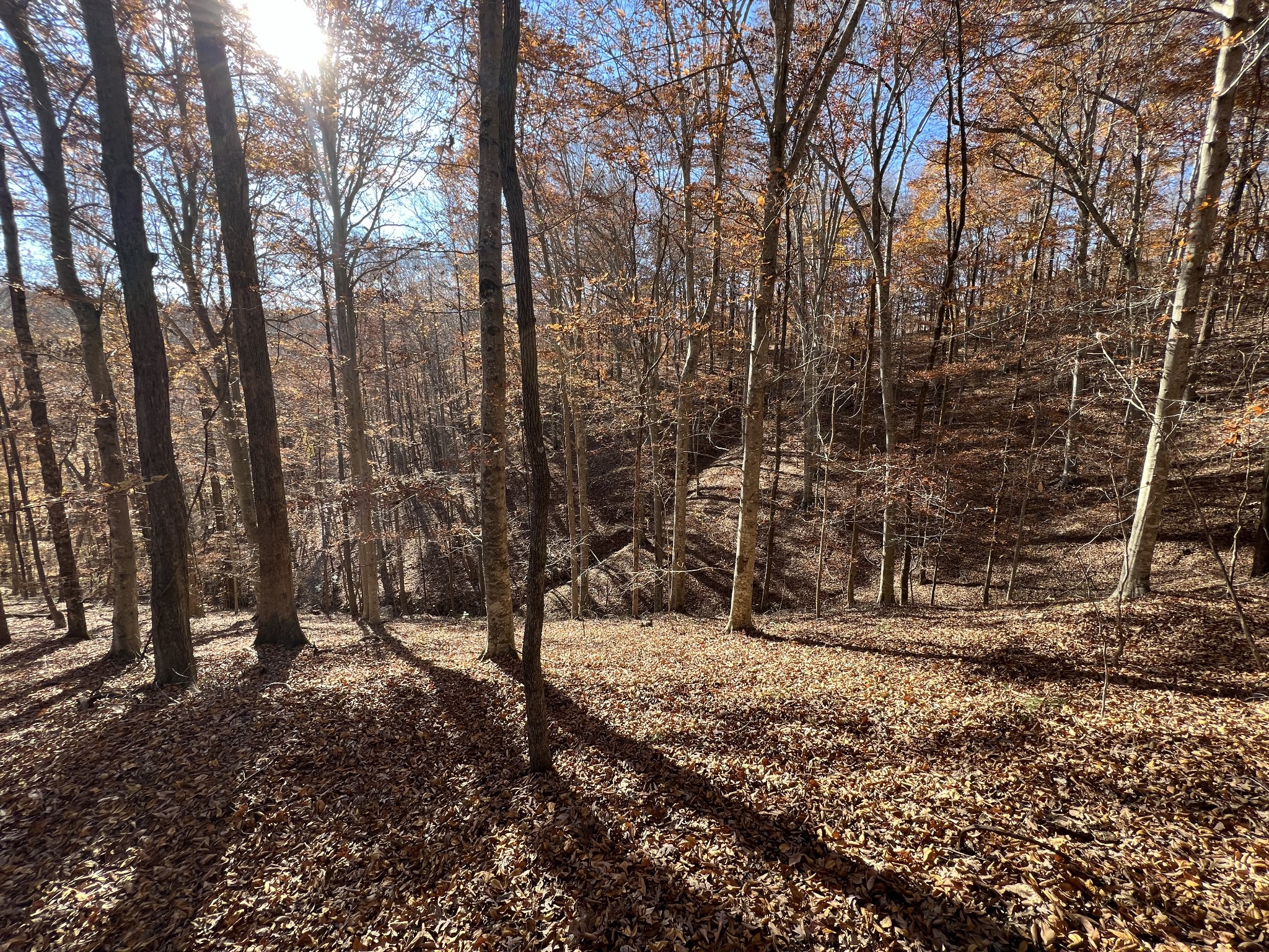 255 Nelson Road Lawrenceburg, TN 38464 - Photo 23 of 67 a view of outdoor space and yard