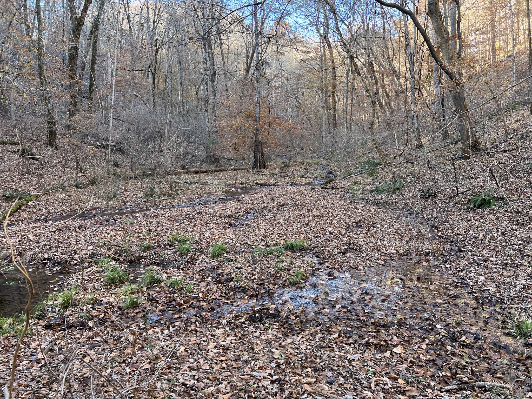 255 Nelson Road Lawrenceburg, TN 38464 - Photo 55 of 67