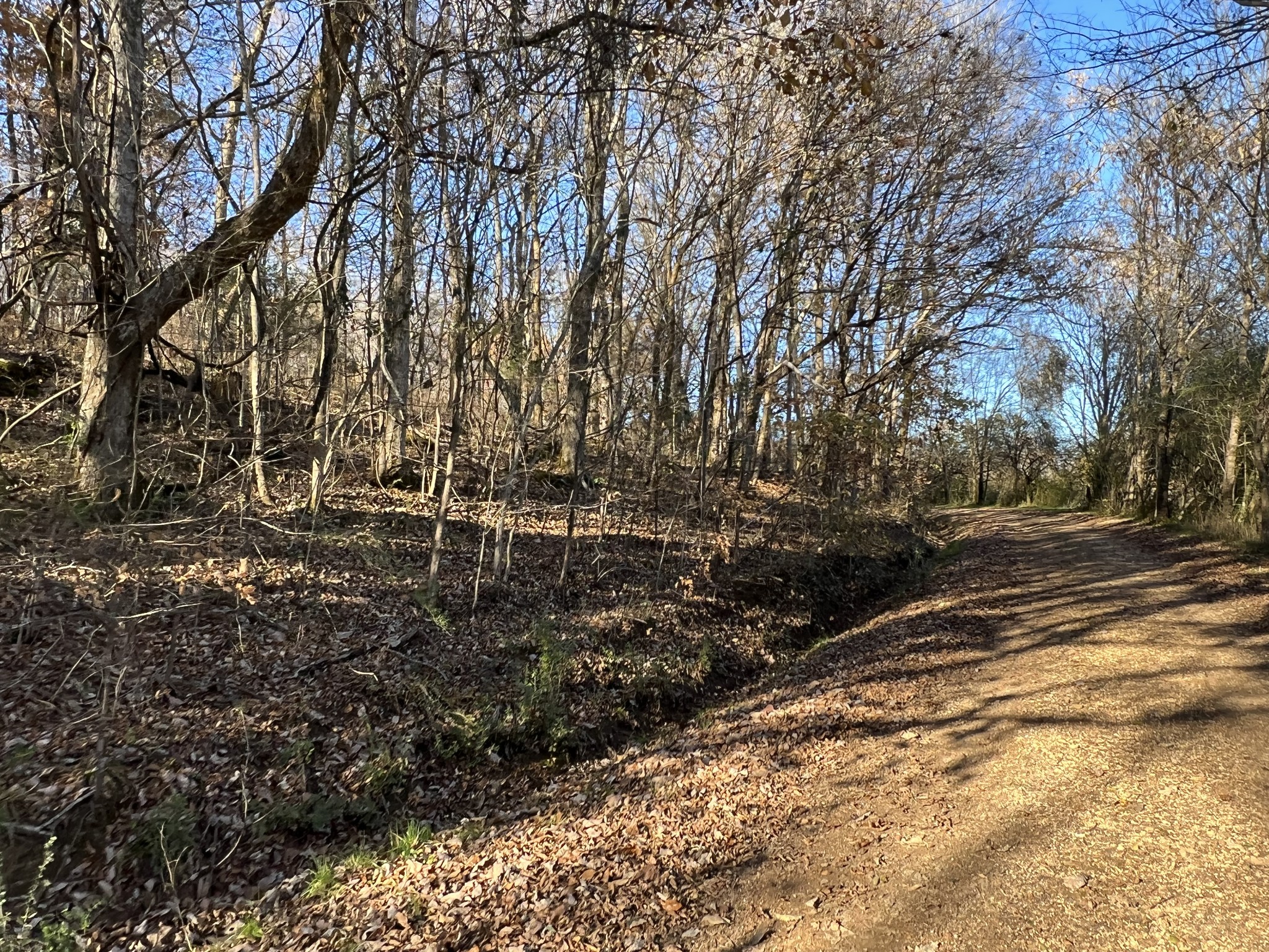 255 Nelson Road Lawrenceburg, TN 38464 - Photo 59 of 67