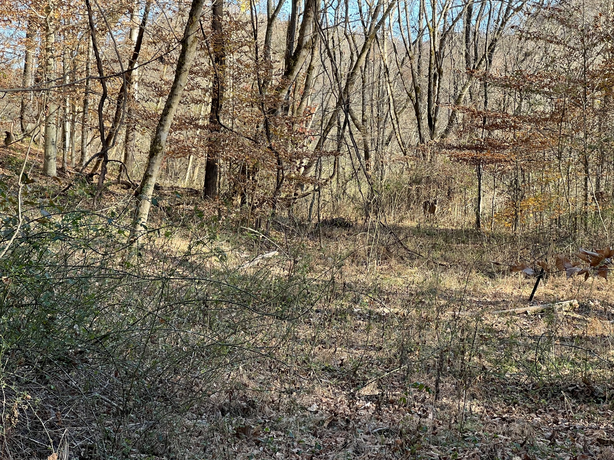 255 Nelson Road Lawrenceburg, TN 38464 - Photo 67 of 67