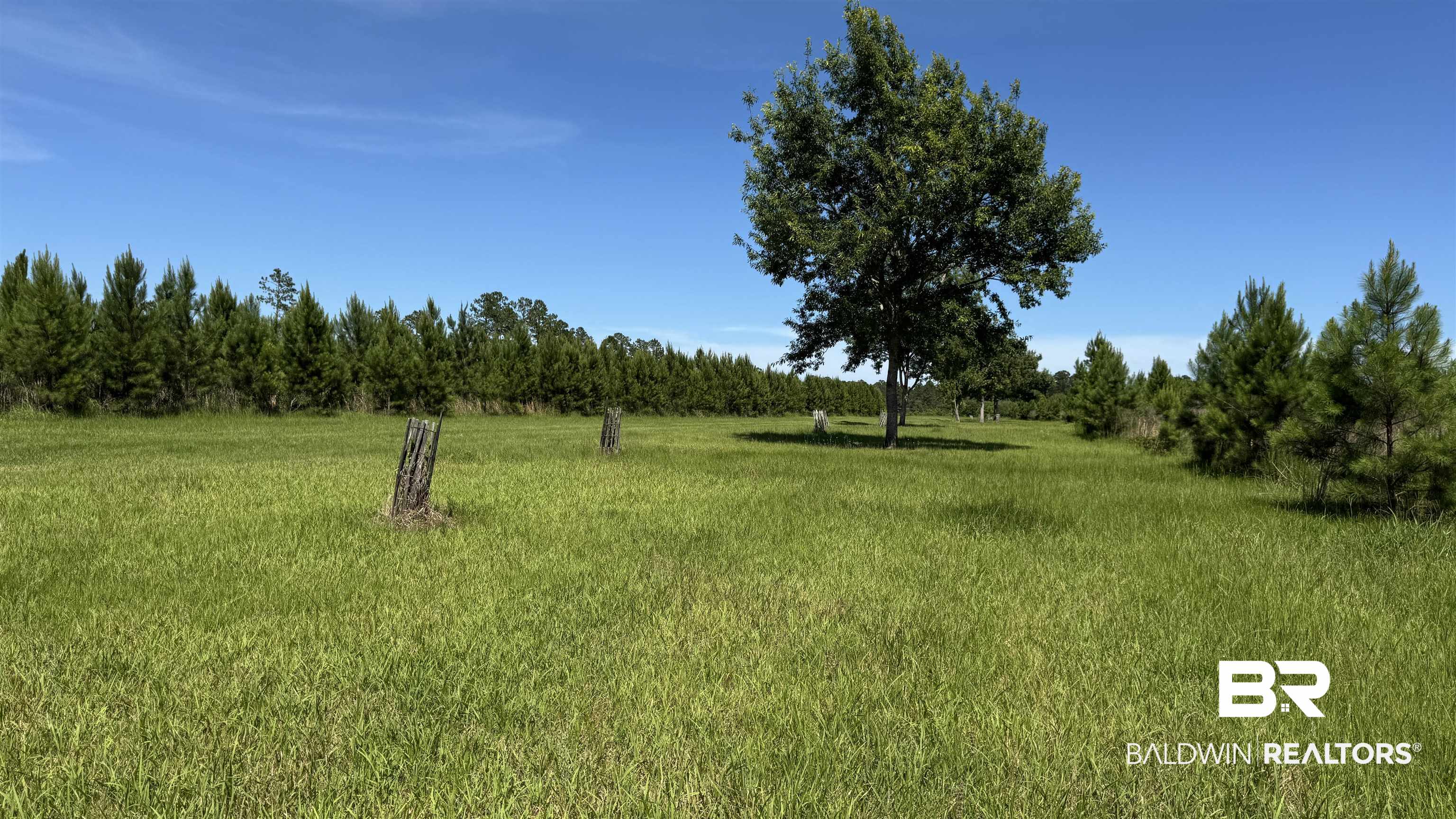 0 County Road 87 Elberta, AL 36530 - Photo 35 of 46