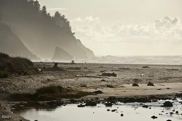 49004 Highway 101 Neskowin, OR 97149 - Photo 15 of 17 14