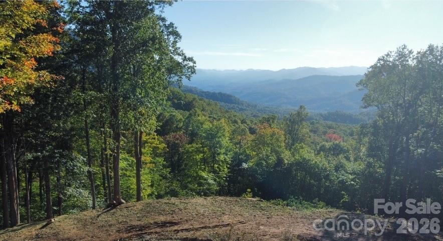 Tbd Nicholas Knoll Road Bakersville, NC 28705 - Photo 3 of 28 Gallery Image 3
