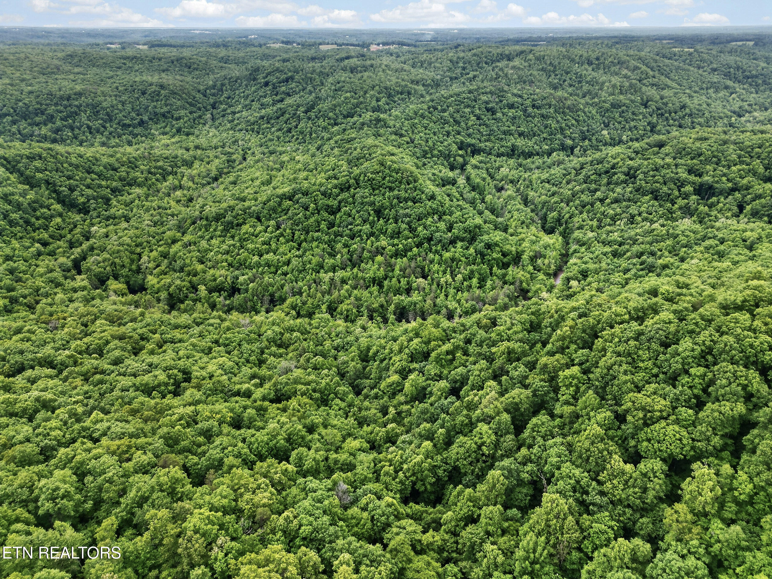 55214 Maynard Ridge Crawford, TN 38554 - Photo 25 of 30 25-DJI_0104