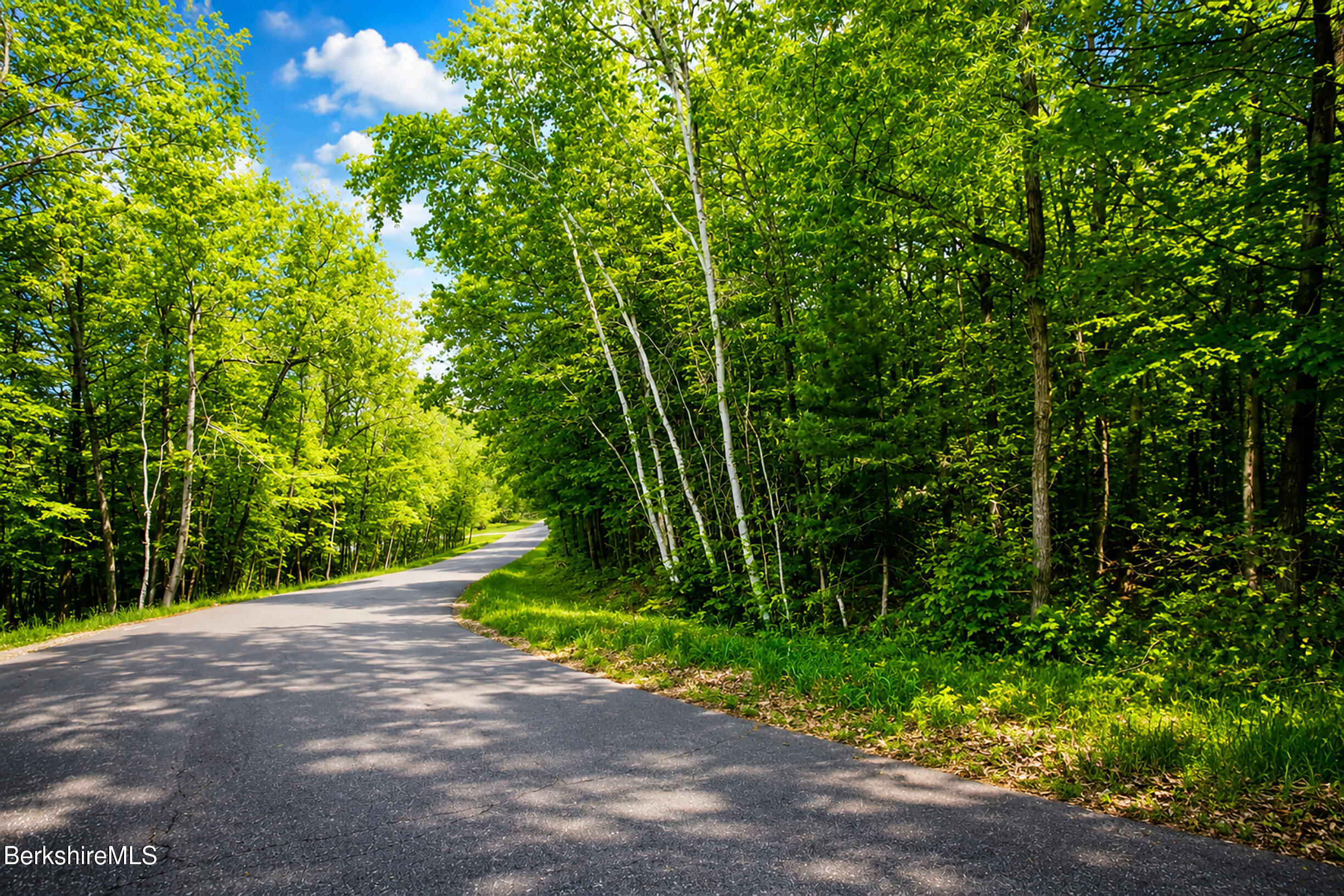 Hill Road Hinsdale, MA 01235 - Photo 12 of 14 Road