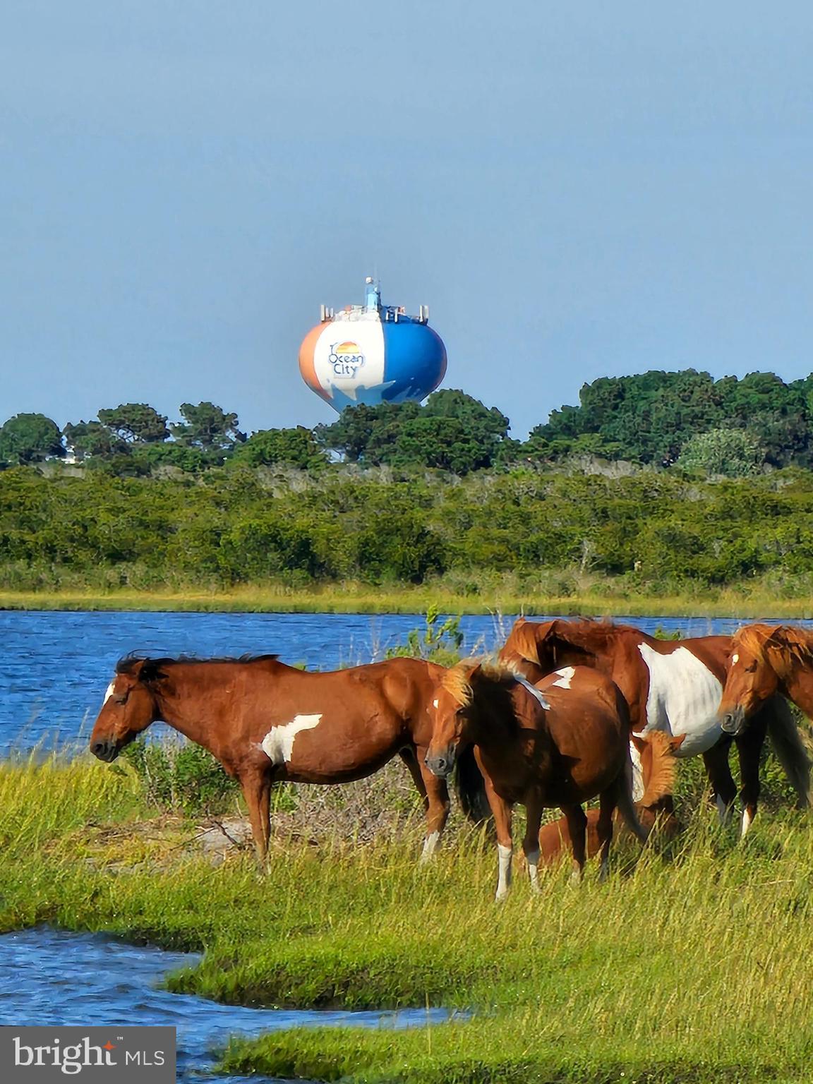 9 Stephen Decatur Highway Ocean City, MD 21842 - Photo 19 of 19