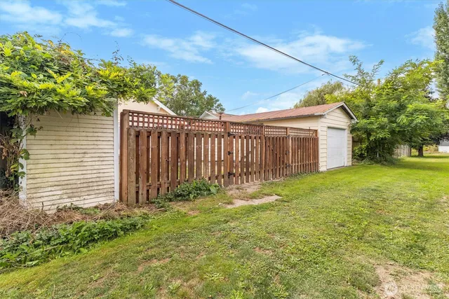 a backyard of a house with plants and large tree