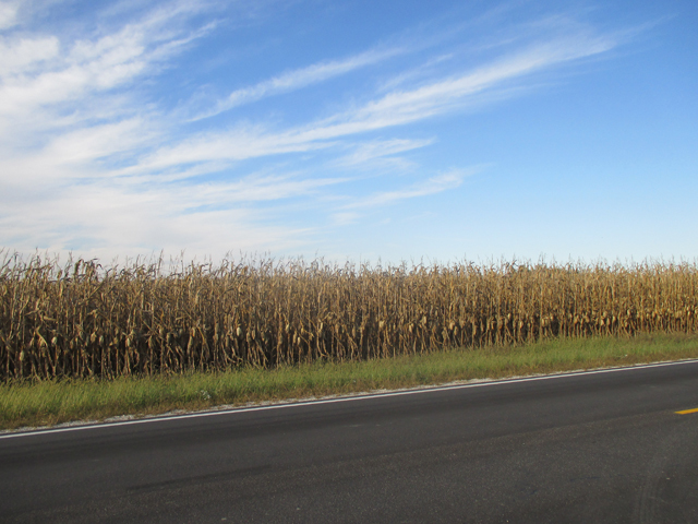 0 North 2401st Road Ottawa, IL 61350 - Photo 1 of 1