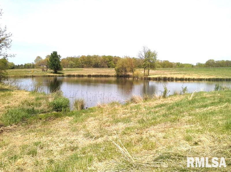 1 Rural Macedonia, IL 62860 - Photo 5 of 31 Gallery Image 5