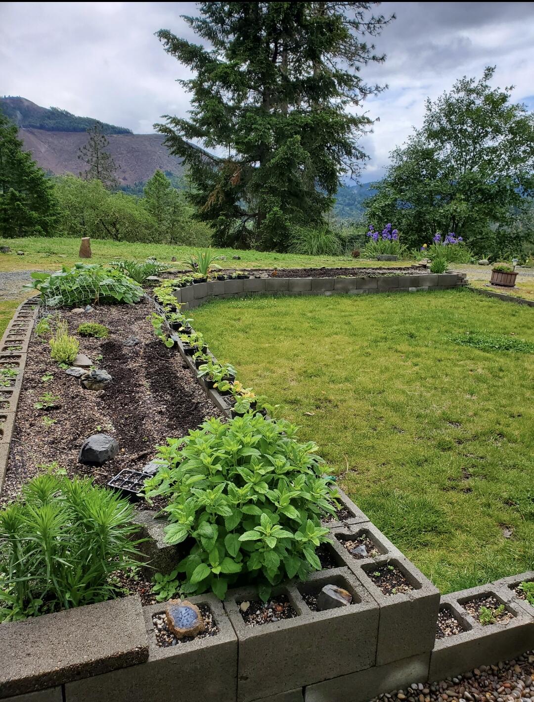 3651 Helms Road Grants Pass, OR 97527 - Photo 47 of 51 Landscaping1