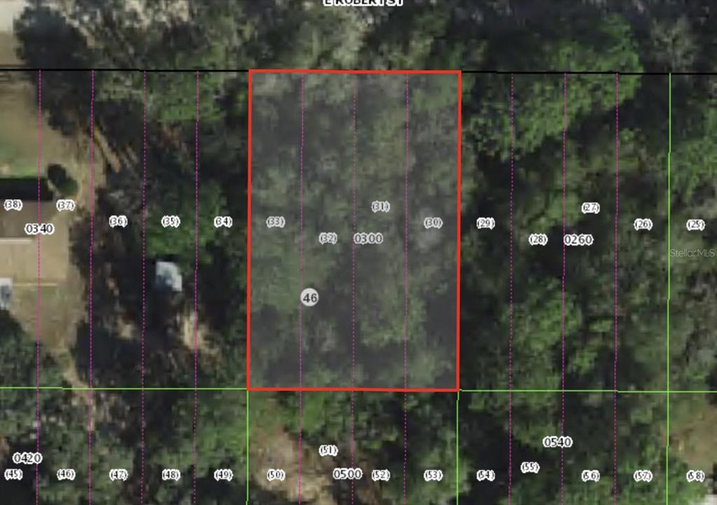 3046 East Robert Street Inverness, FL 34453 - Photo 1 of 2