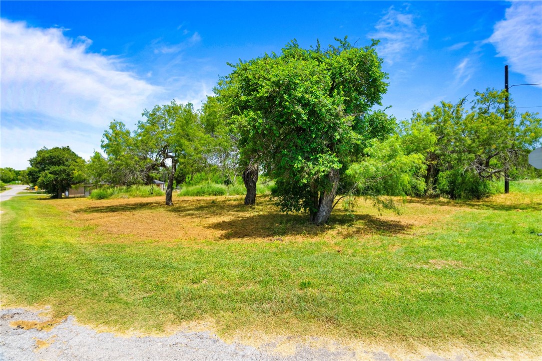 133 Lake Street Mathis, TX 78368 - Photo 15 of 17