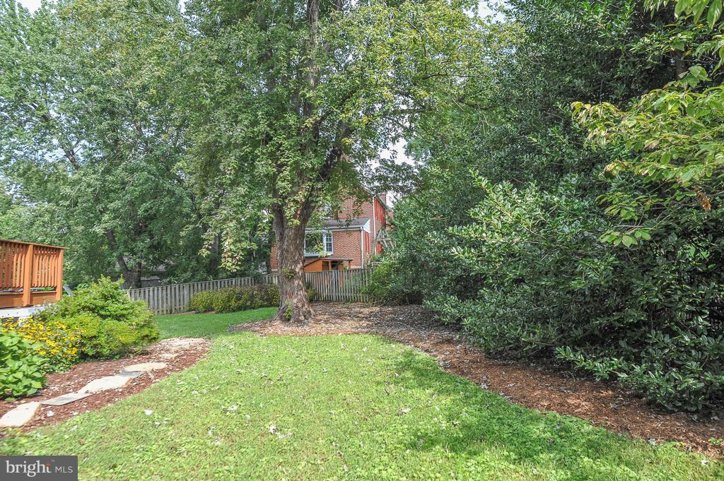801 West Braddock Road Alexandria, VA 22302 - Photo 29 of 30 Yard