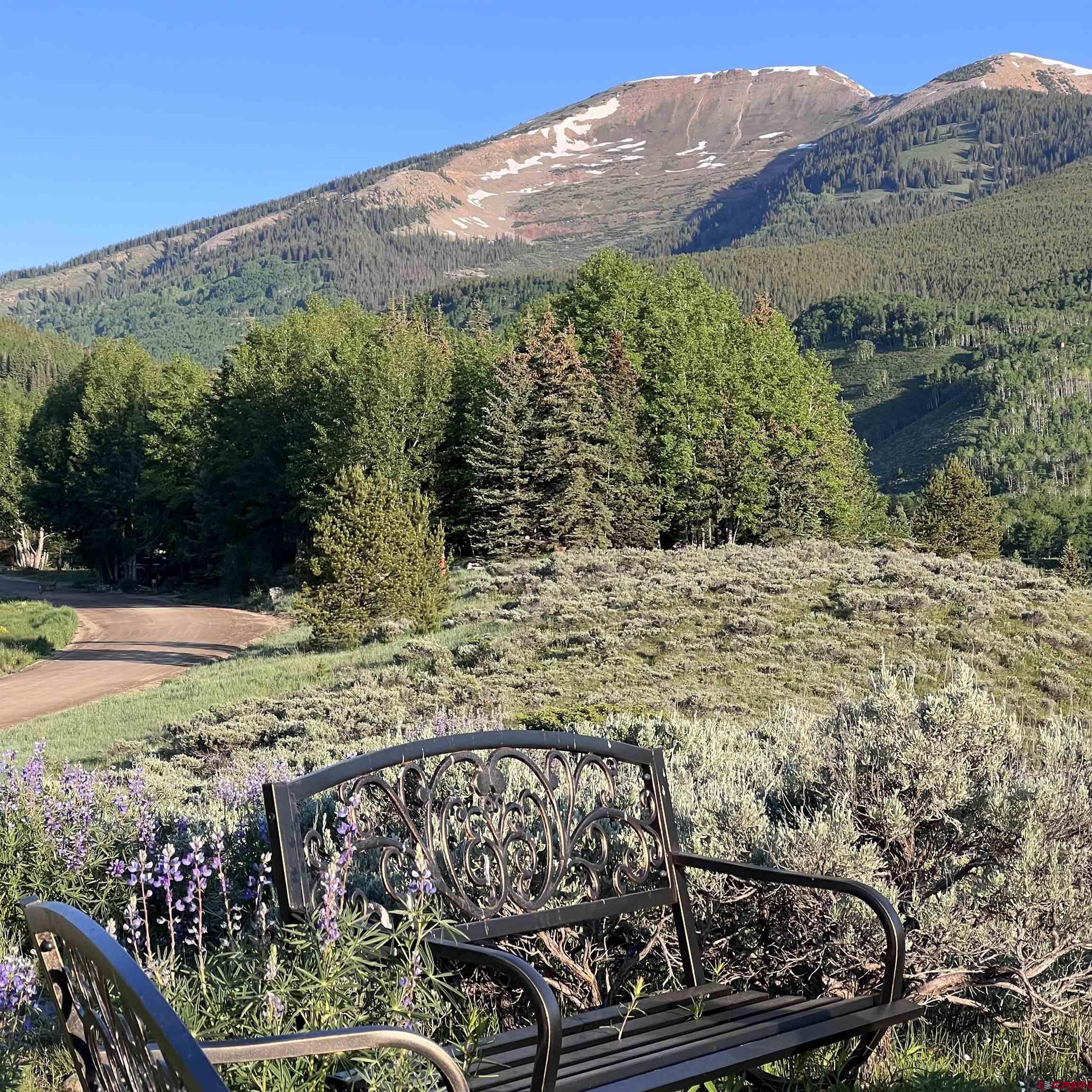 398 Journey's End Road Crested Butte, CO 81224 - Photo 19 of 44