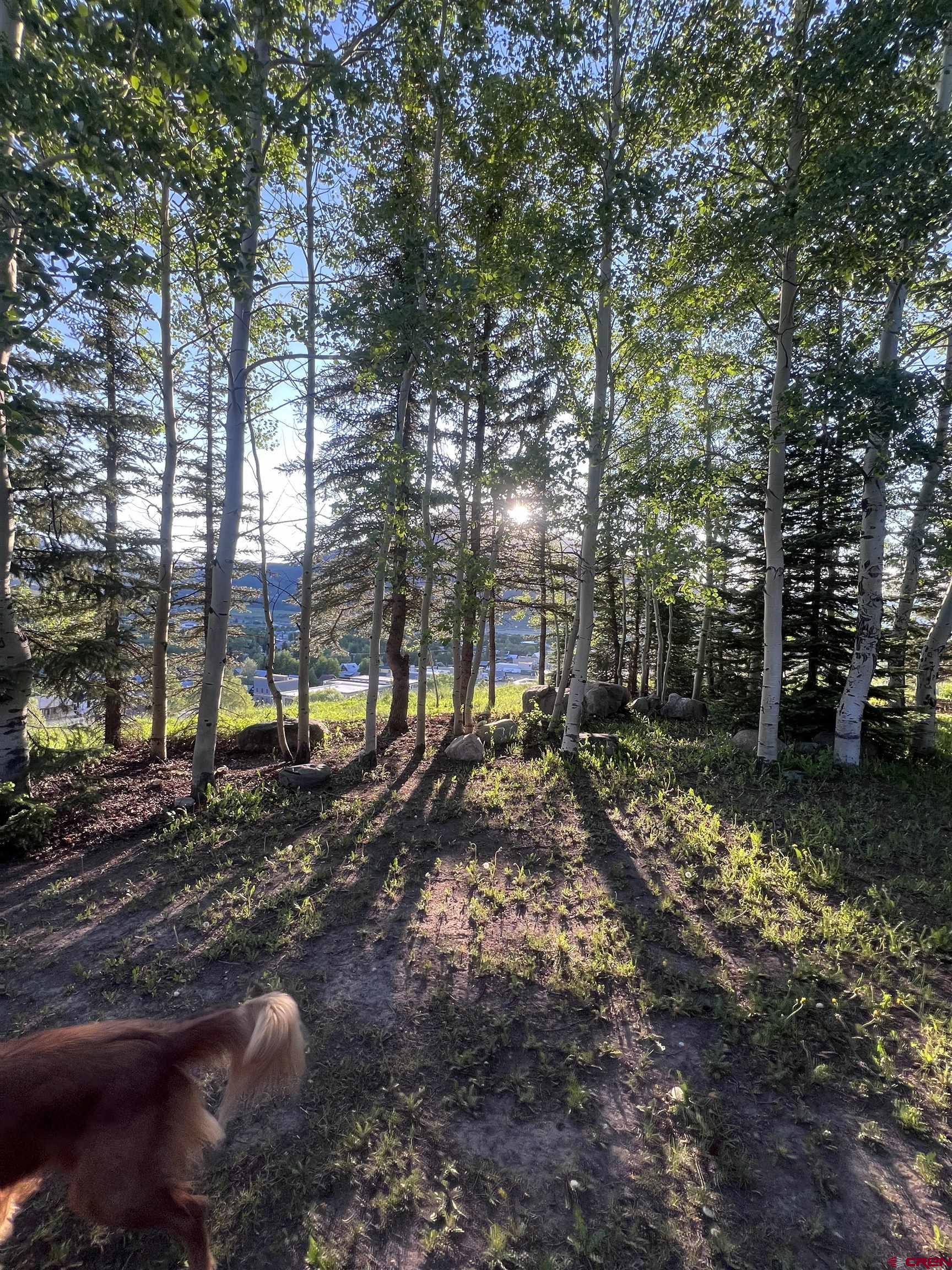 398 Journey's End Road Crested Butte, CO 81224 - Photo 41 of 44