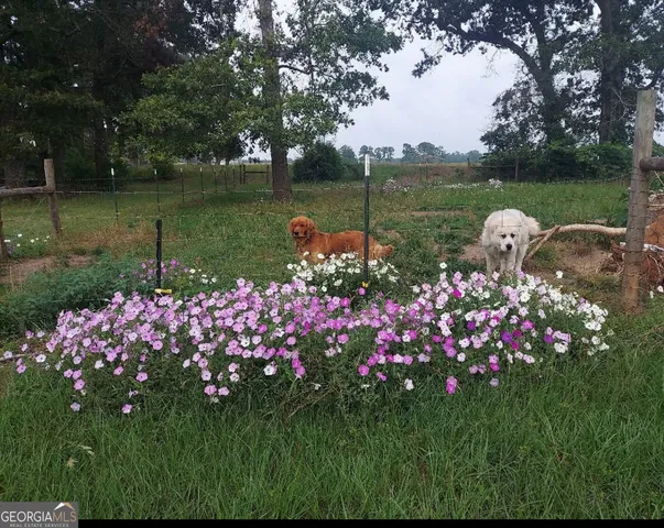 $315,000 | 9447 Clarks Mill Road, Avera, GA 30803