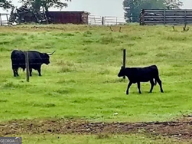 $315,000 | 9447 Clarks Mill Road, Avera, GA 30803