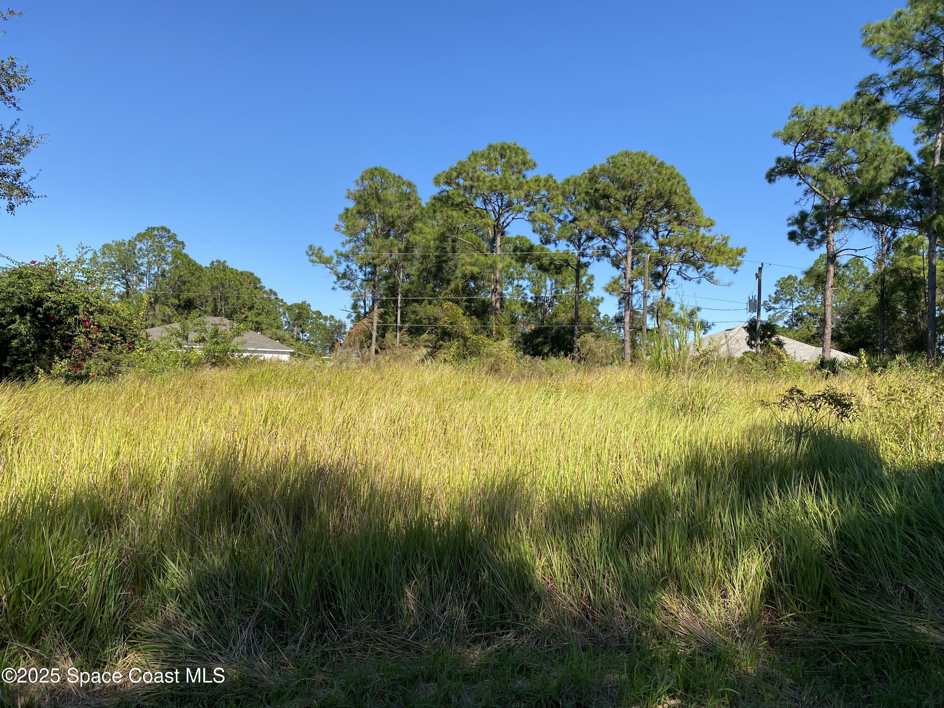 a view of yard from a yard