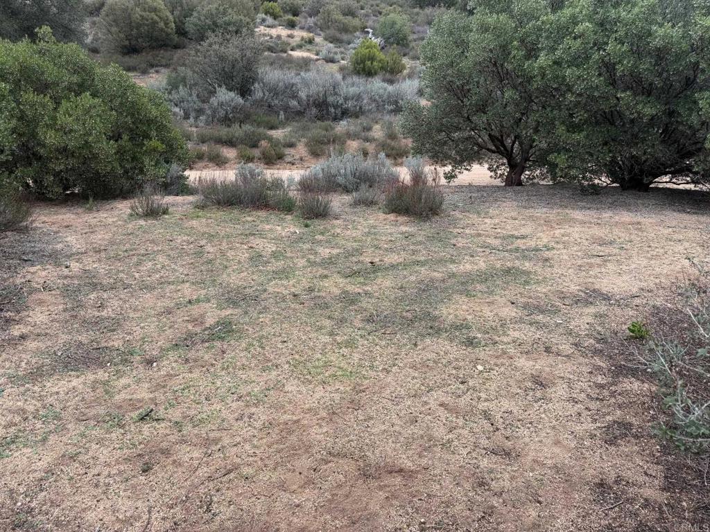 0 Foothill Boulevard Pine Valley, CA 91962 - Photo 2 of 6