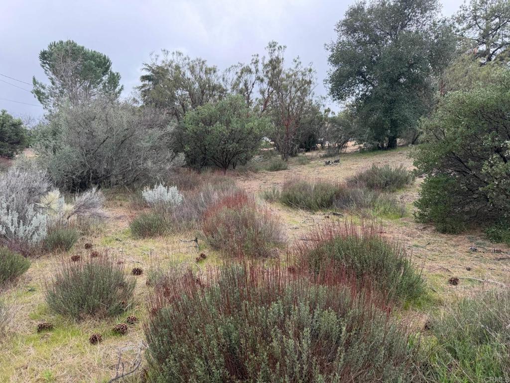 0 Foothill Boulevard Pine Valley, CA 91962 - Photo 3 of 6