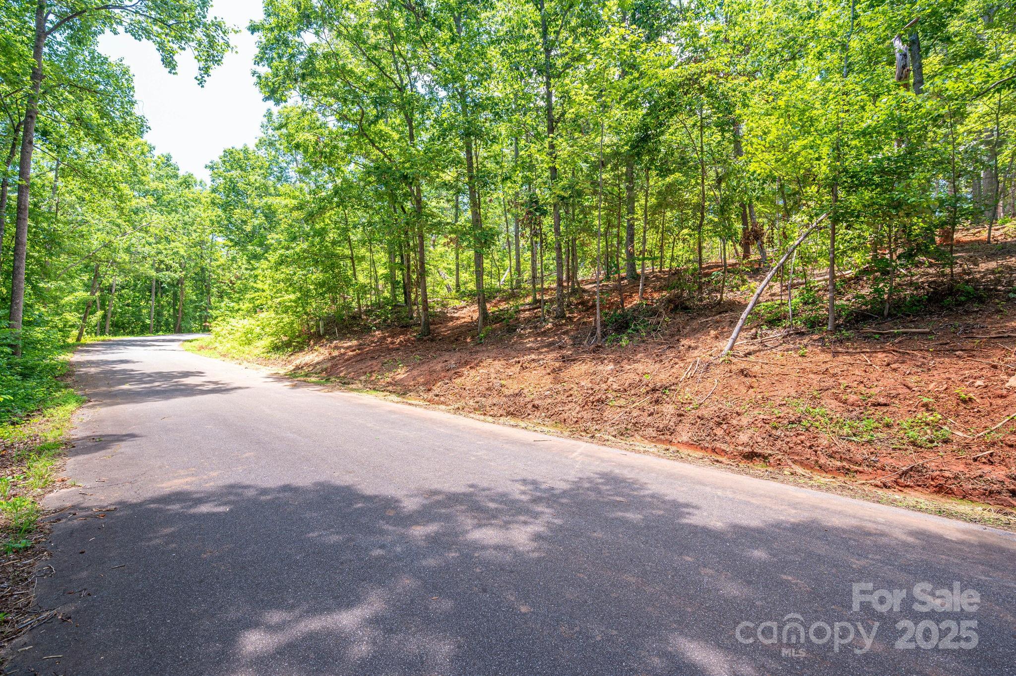 Lot 193 Plantation Drive Rutherfordton, NC 28139 - Photo 11 of 13 a view of a yard with plants and trees
