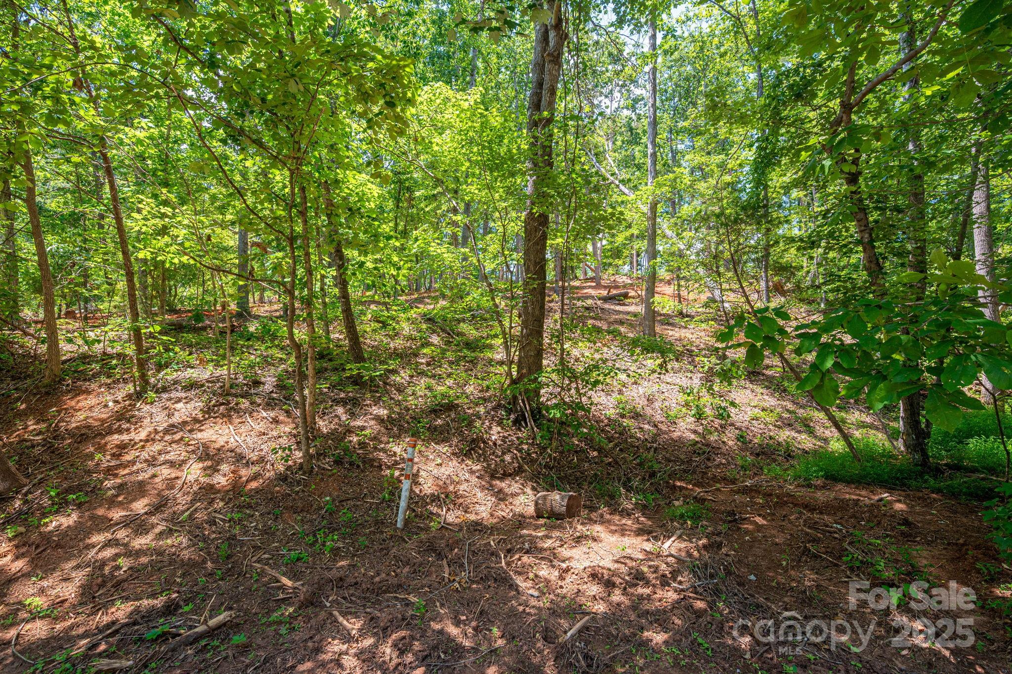 Lot 193 Plantation Drive Rutherfordton, NC 28139 - Photo 12 of 13 a view of forest