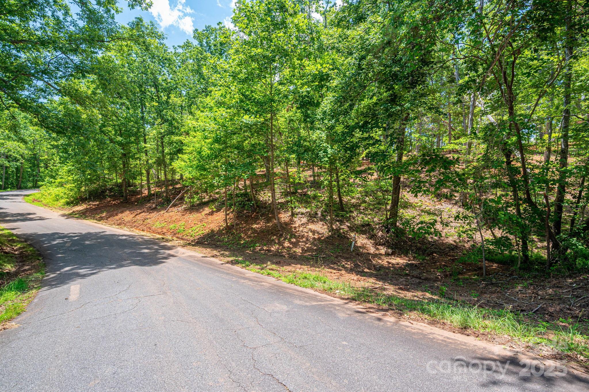 Lot 193 Plantation Drive Rutherfordton, NC 28139 - Photo 13 of 13 a view of a yard with plants and trees