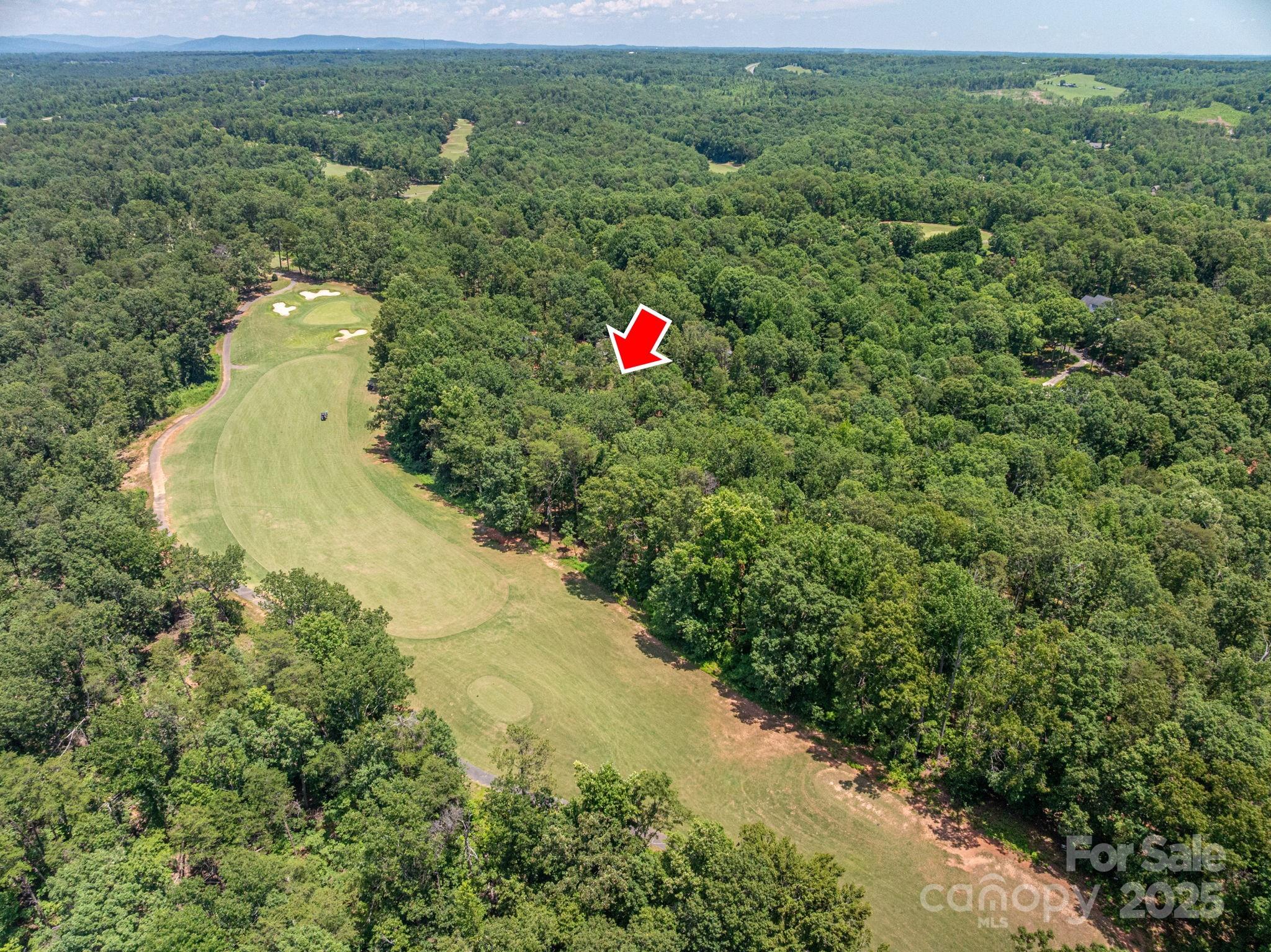Lot 193 Plantation Drive Rutherfordton, NC 28139 - Photo 2 of 13 a view of a forest with a yard and lake view