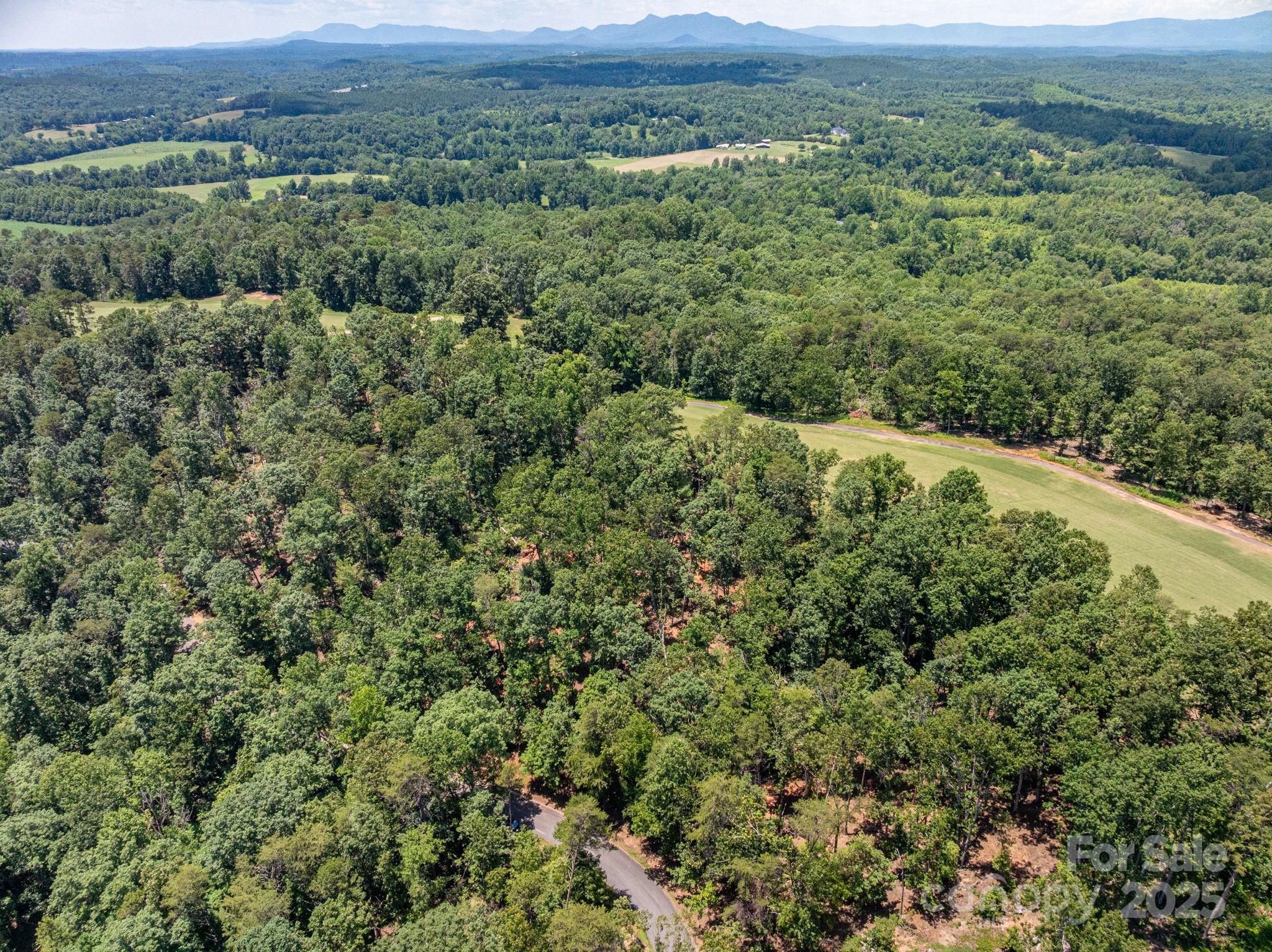 Lot 193 Plantation Drive Rutherfordton, NC 28139 - Photo 3 of 13 an aerial view of forest