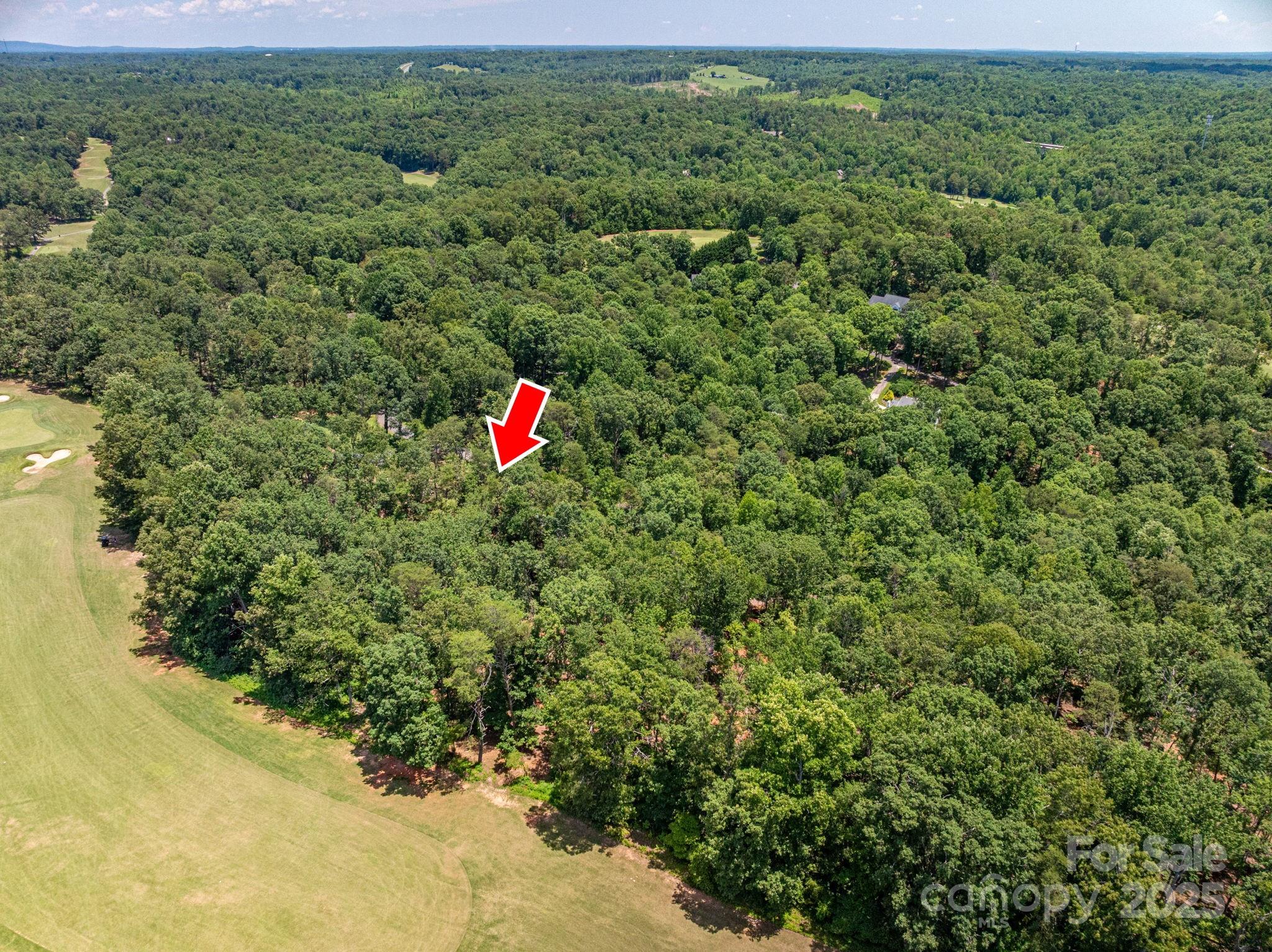 Lot 193 Plantation Drive Rutherfordton, NC 28139 - Photo 4 of 13 a view of a lush green forest with a street