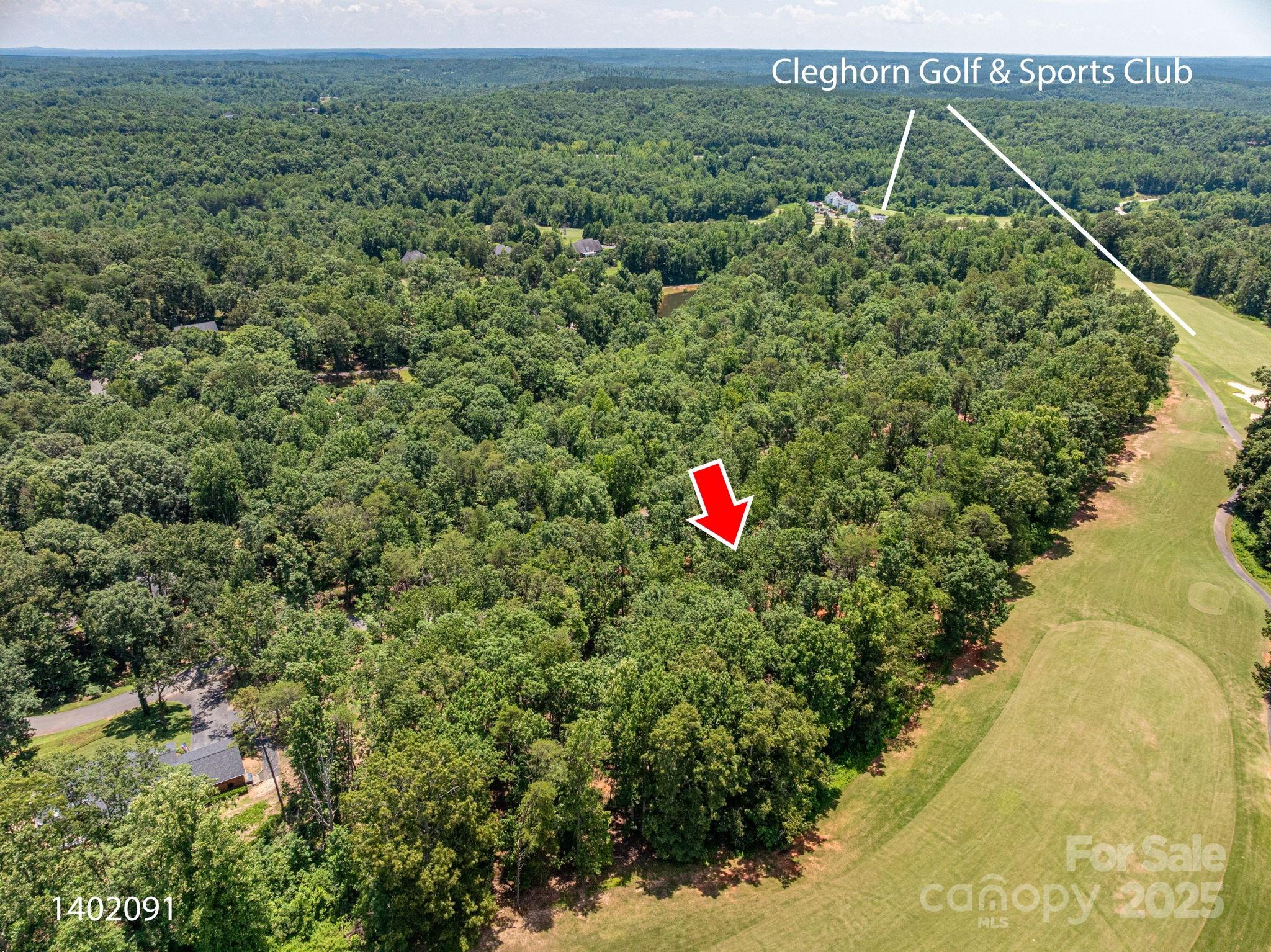 Lot 193 Plantation Drive Rutherfordton, NC 28139 - Photo 6 of 13 a view of a field with an tree