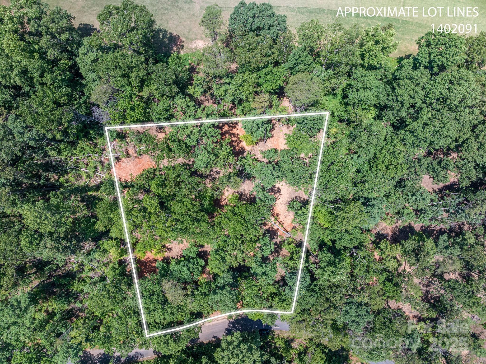 Lot 193 Plantation Drive Rutherfordton, NC 28139 - Photo 7 of 13