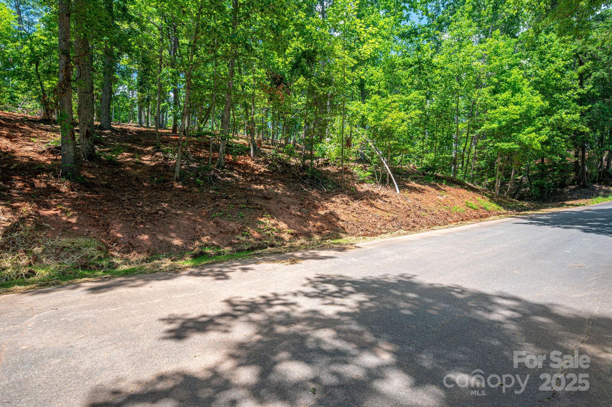 Lot 193 Plantation Drive Rutherfordton, NC 28139 - Photo 8 of 13 a view of a road with trees in the background