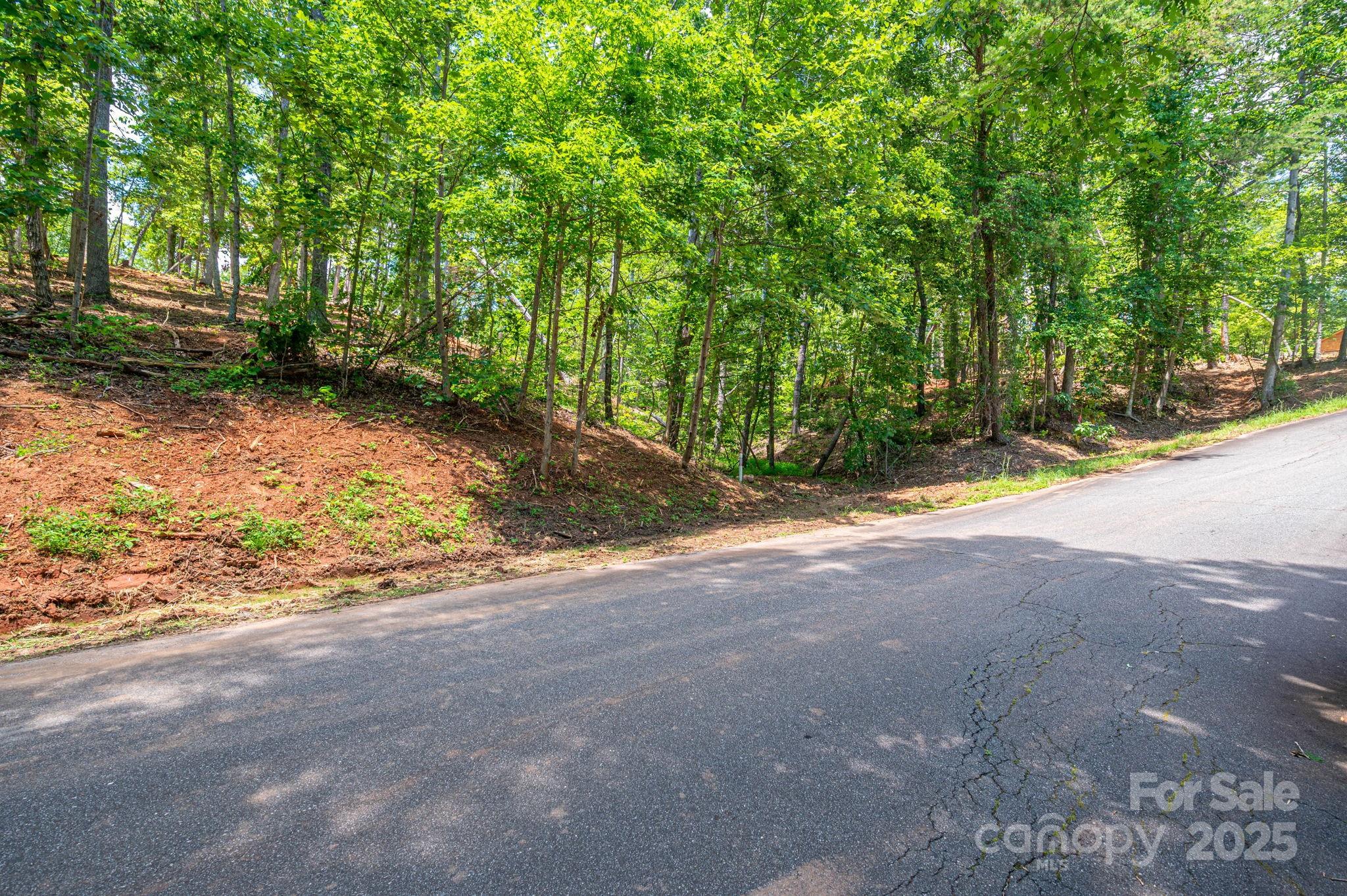 Lot 193 Plantation Drive Rutherfordton, NC 28139 - Photo 9 of 13 a view of a yard with plants and trees