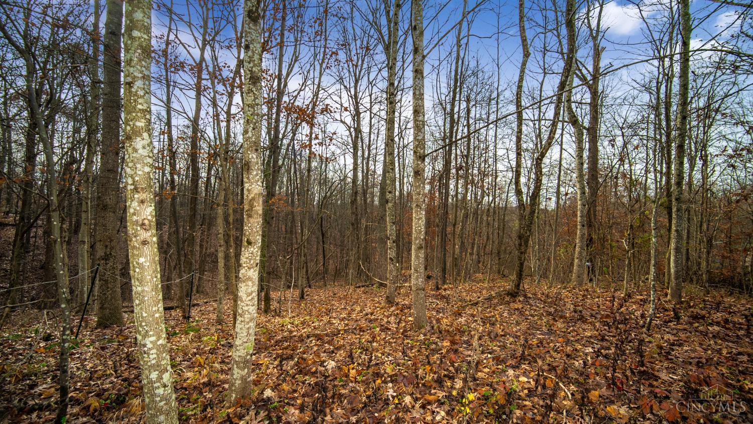 435 Bruemmer Road Manchester, OH 45144 - Photo 6 of 9 Gallery Image 6