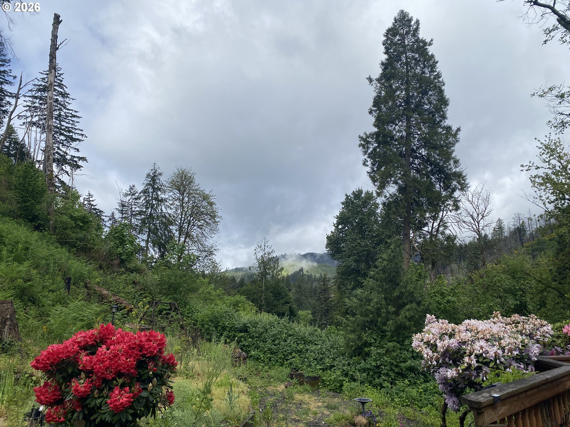45300 Goodpasture Road Vida, OR 97488 - Photo 11 of 38