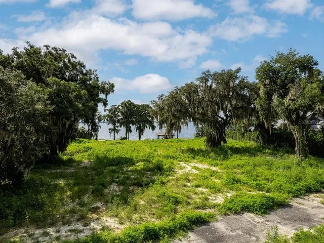 $4,395,000 | 12418 Park Avenue, Windermere, FL 34786