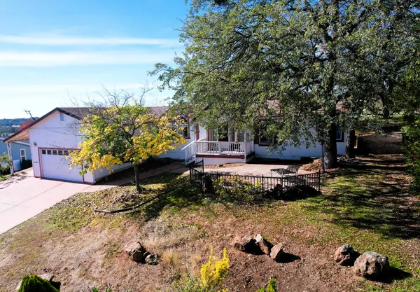 a view of a backyard with plants and trees