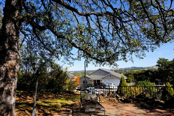 an outdoor space with lots of trees
